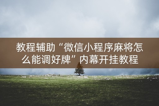 教程辅助“微信小程序麻将怎么能调好牌”内幕开挂教程