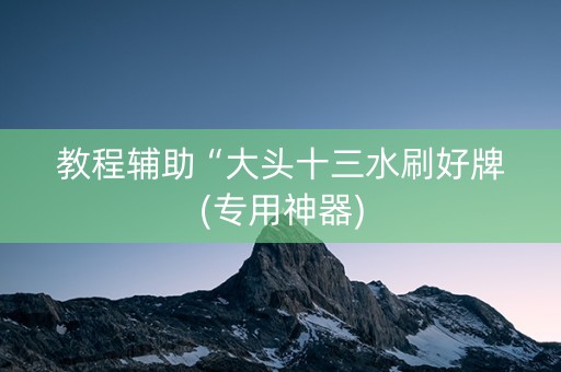 教程辅助“大头十三水刷好牌(专用神器)