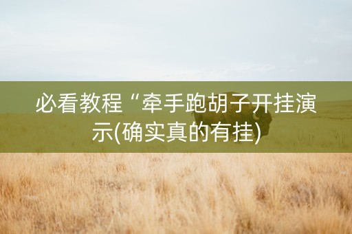 必看教程“牵手跑胡子开挂演示(确实真的有挂)