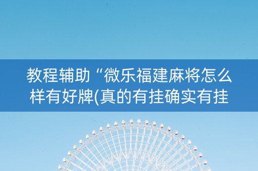 教程辅助“微乐福建麻将怎么样有好牌(真的有挂确实有挂)