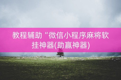 教程辅助“微信小程序麻将软挂神器(助赢神器)