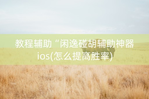 教程辅助“闲逸碰胡辅助神器ios(怎么提高胜率)