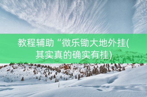 教程辅助“微乐锄大地外挂(其实真的确实有挂)