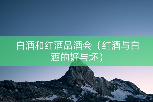 白酒和红酒品酒会（红酒与白酒的好与坏）
