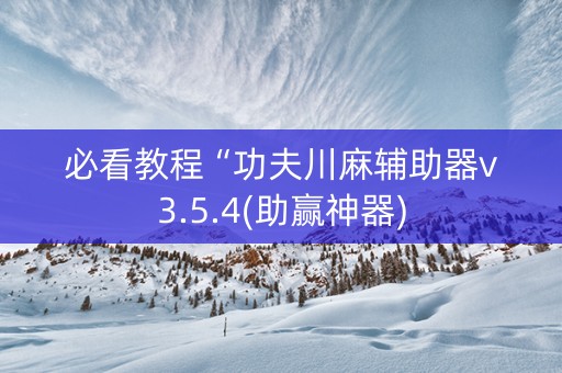 必看教程“功夫川麻辅助器v3.5.4(助赢神器)