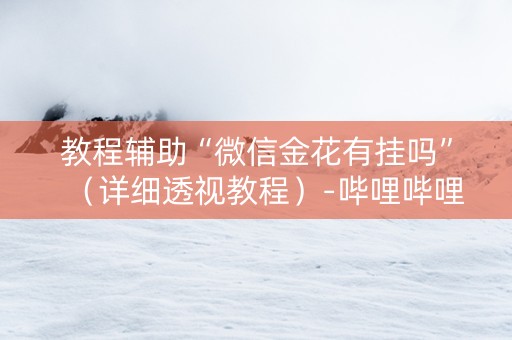 教程辅助“微信金花有挂吗”（详细透视教程）-哔哩哔哩