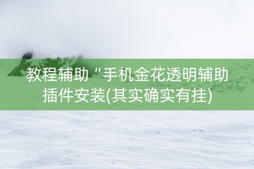 教程辅助“手机金花透明辅助插件安装(其实确实有挂)