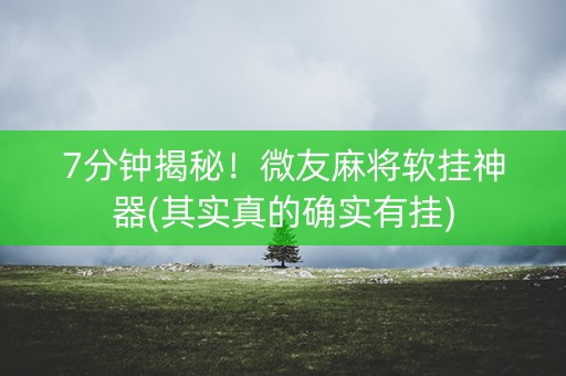 7分钟揭秘！微友麻将软挂神器(其实真的确实有挂)