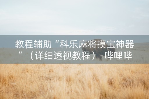 教程辅助“科乐麻将摸宝神器”（详细透视教程）-哔哩哔哩