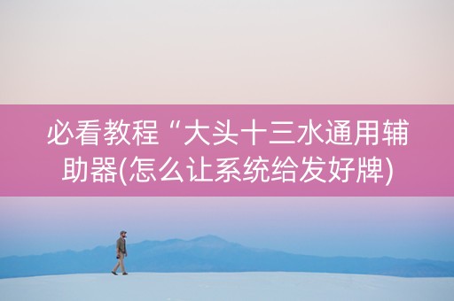 必看教程“大头十三水通用辅助器(怎么让系统给发好牌)