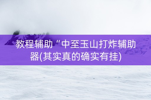 教程辅助“中至玉山打炸辅助器(其实真的确实有挂)