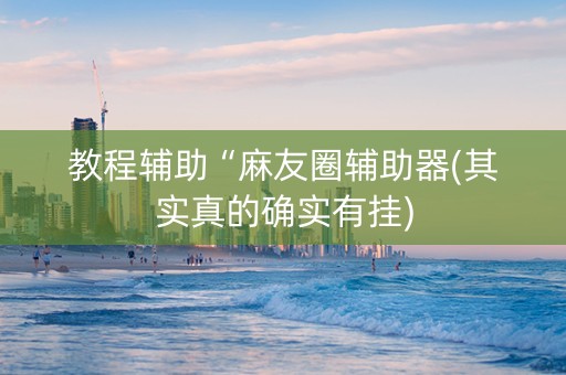 教程辅助“麻友圈辅助器(其实真的确实有挂)