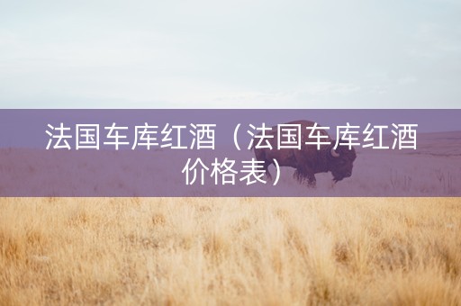法国车库红酒（法国车库红酒价格表）