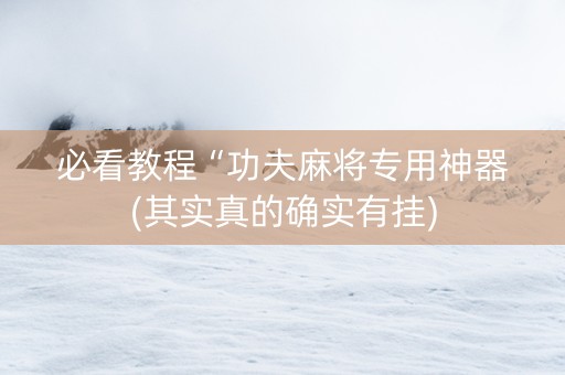 必看教程“功夫麻将专用神器(其实真的确实有挂)