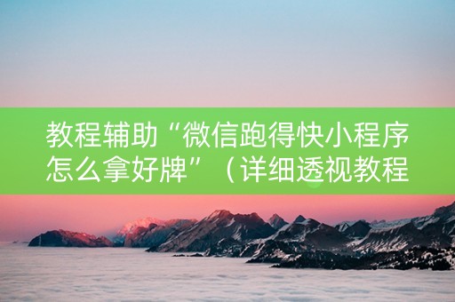 教程辅助“微信跑得快小程序怎么拿好牌”（详细透视教程）-哔哩哔哩