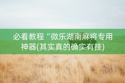 必看教程“微乐湖南麻将专用神器(其实真的确实有挂)