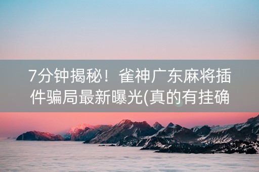 7分钟揭秘！雀神广东麻将插件骗局最新曝光(真的有挂确实有挂)