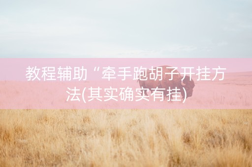 教程辅助“牵手跑胡子开挂方法(其实确实有挂)