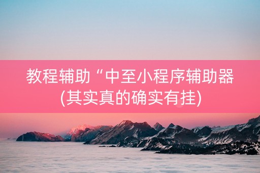 教程辅助“中至小程序辅助器(其实真的确实有挂)