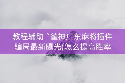 教程辅助“雀神广东麻将插件骗局最新曝光(怎么提高胜率)