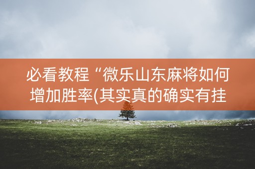 必看教程“微乐山东麻将如何增加胜率(其实真的确实有挂)