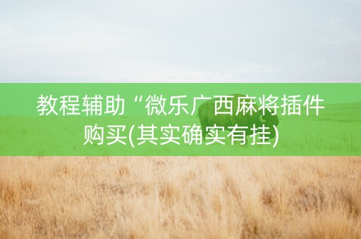 教程辅助“微乐广西麻将插件购买(其实确实有挂)