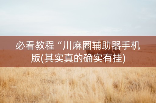 必看教程“川麻圈辅助器手机版(其实真的确实有挂)