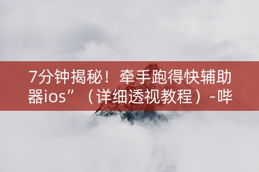 7分钟揭秘！牵手跑得快辅助器ios”（详细透视教程）-哔哩哔哩