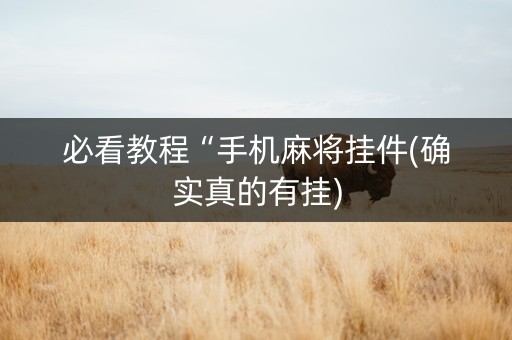 必看教程“手机麻将挂件(确实真的有挂)
