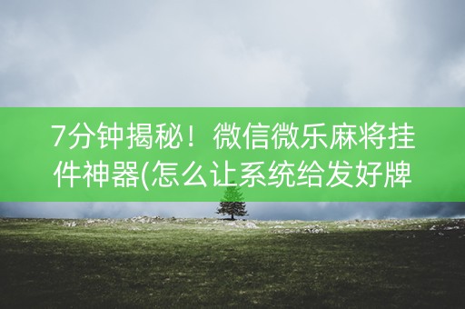 7分钟揭秘！微信微乐麻将挂件神器(怎么让系统给发好牌)