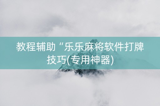 教程辅助“乐乐麻将软件打牌技巧(专用神器)
