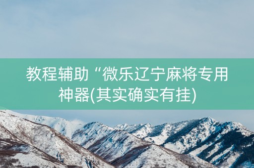 教程辅助“微乐辽宁麻将专用神器(其实确实有挂)