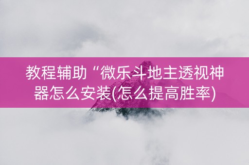 教程辅助“微乐斗地主透视神器怎么安装(怎么提高胜率)