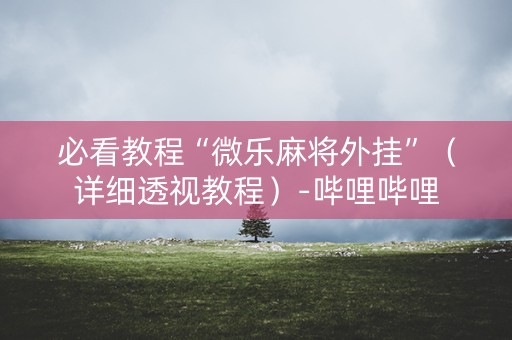 必看教程“微乐麻将外挂”（详细透视教程）-哔哩哔哩