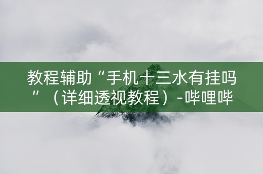 教程辅助“手机十三水有挂吗”（详细透视教程）-哔哩哔哩