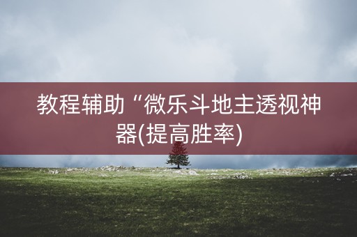 教程辅助“微乐斗地主透视神器(提高胜率)