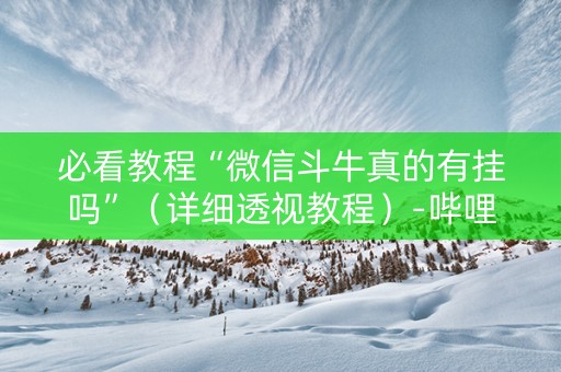 必看教程“微信斗牛真的有挂吗”（详细透视教程）-哔哩哔哩