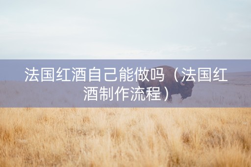 法国红酒自己能做吗（法国红酒制作流程）