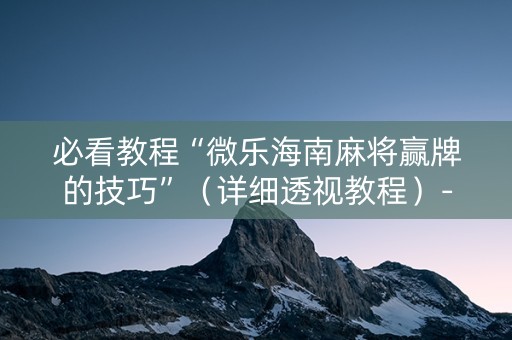 必看教程“微乐海南麻将赢牌的技巧”（详细透视教程）-哔哩哔哩