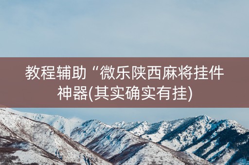 教程辅助“微乐陕西麻将挂件神器(其实确实有挂)