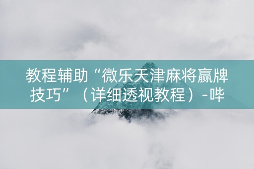 教程辅助“微乐天津麻将赢牌技巧”（详细透视教程）-哔哩哔哩