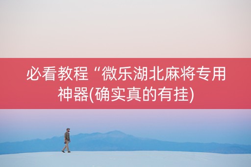 必看教程“微乐湖北麻将专用神器(确实真的有挂)