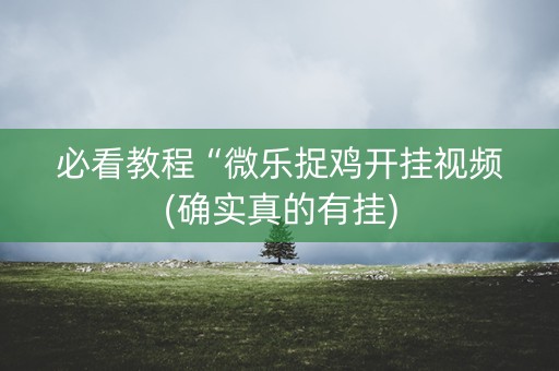 必看教程“微乐捉鸡开挂视频(确实真的有挂)
