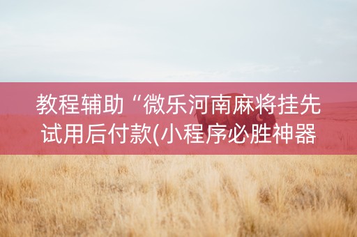 教程辅助“微乐河南麻将挂先试用后付款(小程序必胜神器)