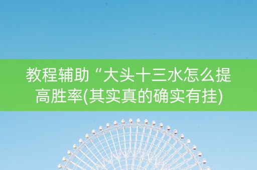 教程辅助“大头十三水怎么提高胜率(其实真的确实有挂)
