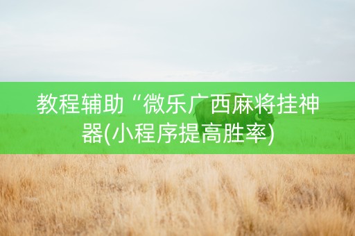 教程辅助“微乐广西麻将挂神器(小程序提高胜率)