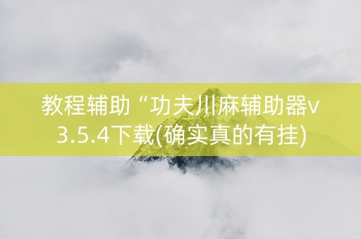 教程辅助“功夫川麻辅助器v3.5.4下载(确实真的有挂)
