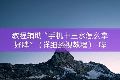 教程辅助“手机十三水怎么拿好牌”（详细透视教程）-哔哩哔哩