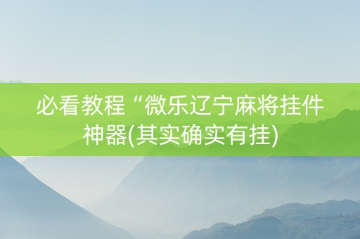 必看教程“微乐辽宁麻将挂件神器(其实确实有挂)