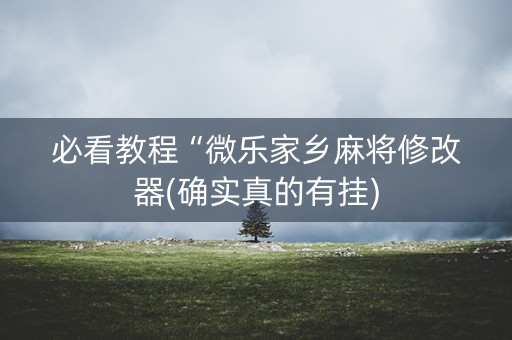 必看教程“微乐家乡麻将修改器(确实真的有挂)